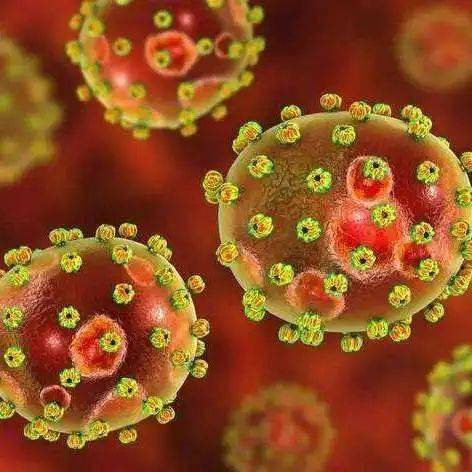 警惕人兽共患的拉沙热尼日利亚拉沙热疫情致百余人死亡