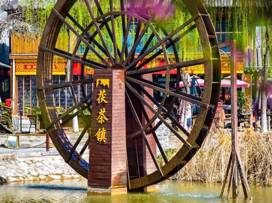 泾河新城茯茶镇茶香美景共徘徊