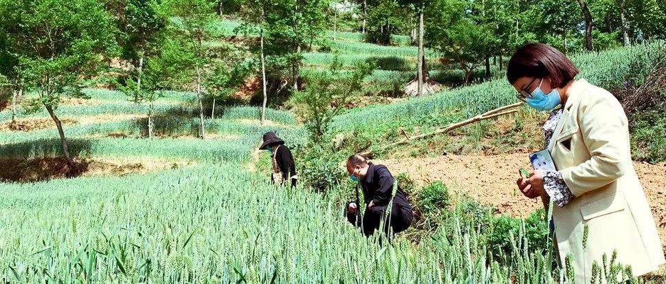 孙志刚贵州往事