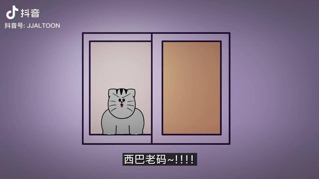 jjaltoon浪漫小猫咪搞笑漫画搞笑视频沙雕视频韩国韩国漫画shakeit