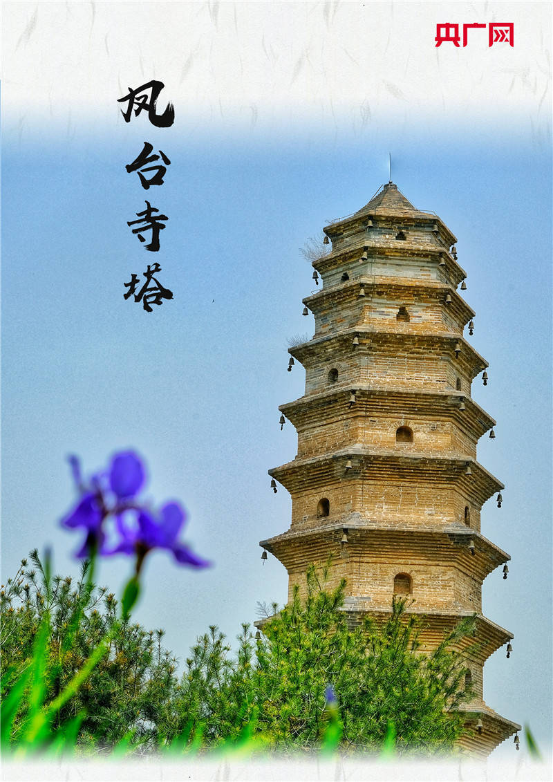 【组图】一睹春日限定的郑州古建之美
