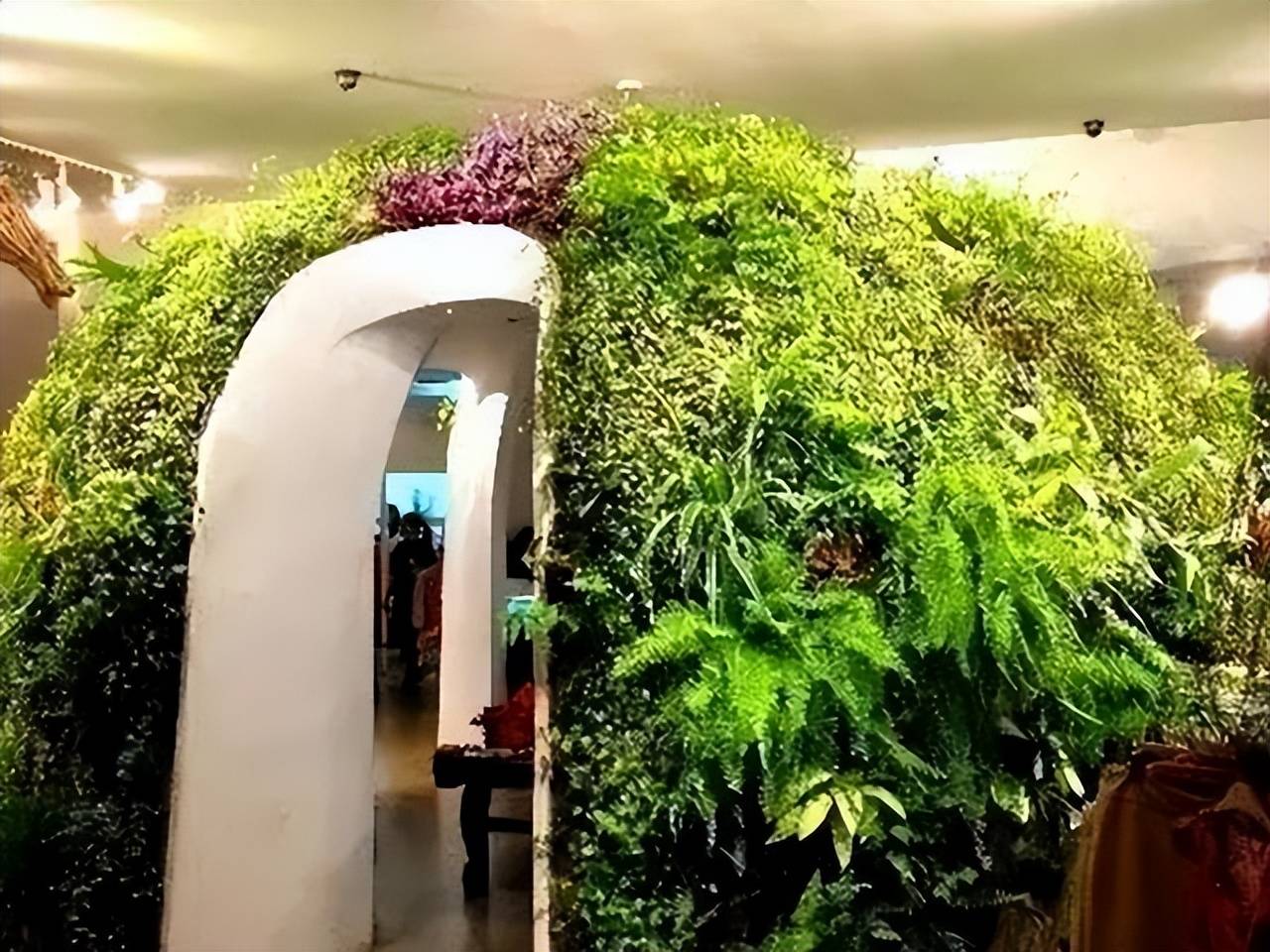 从"水哥"到"宝藏男孩",王昱珩活成了别人羡慕的样子_植物_自然_作品