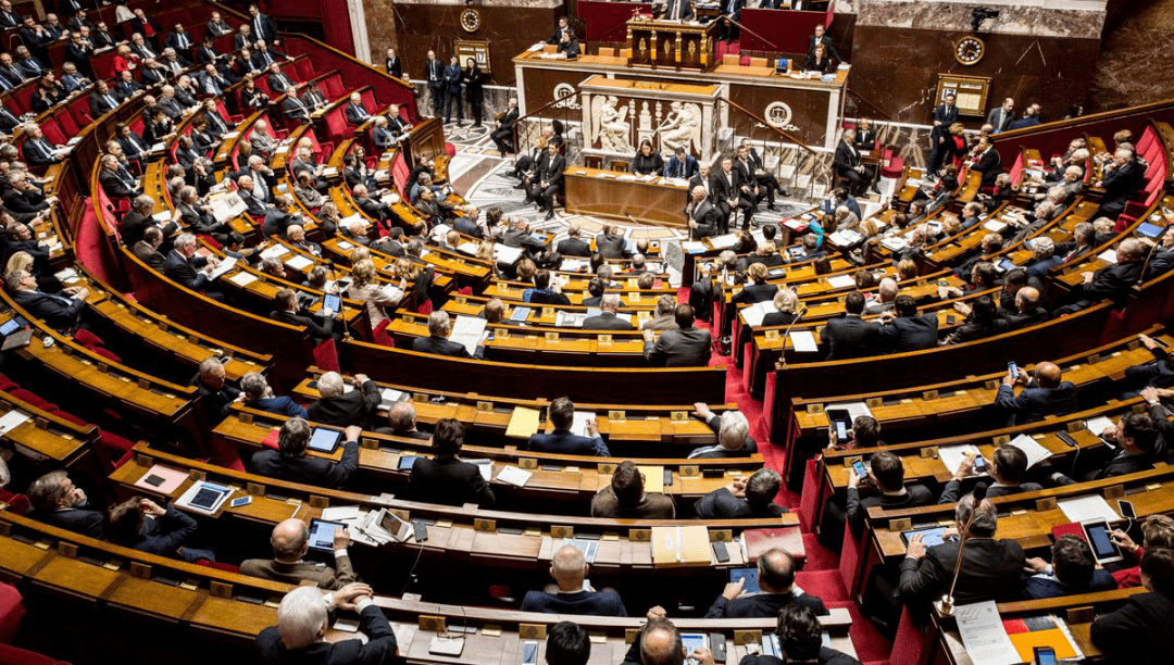 葵花籽油短缺,法国采用替代配方_马克龙_议会选举_梅朗