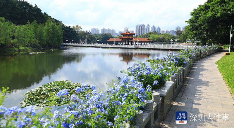 深圳市民假期逛公园需持72小时核酸证明， 多地停车需预约