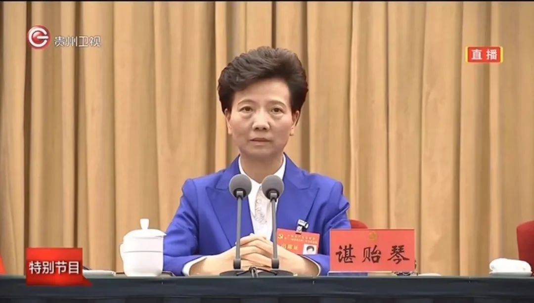 谌贻琴当选省委书记，是全国唯一一位女省委书记