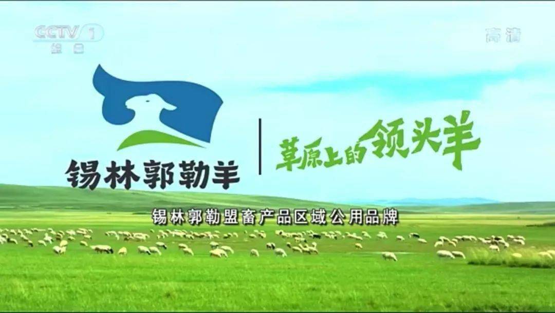 锡林郭勒羊区域公用品牌重磅亮相央视
