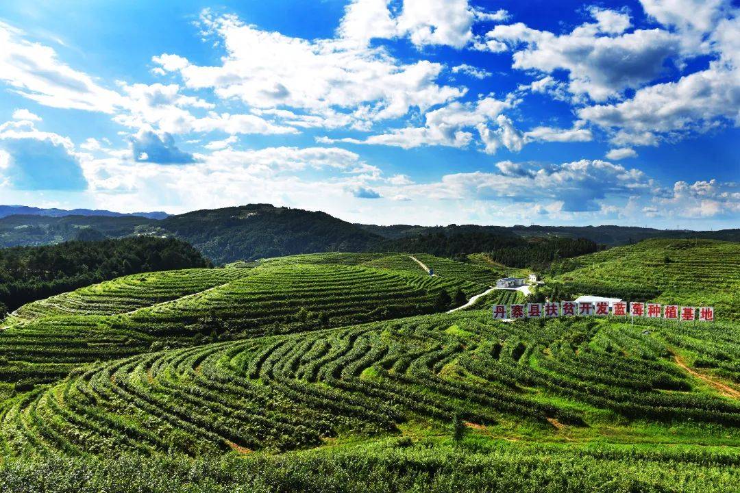 真抓实干促发展五年风雨谱华章扬武镇五年发展综述