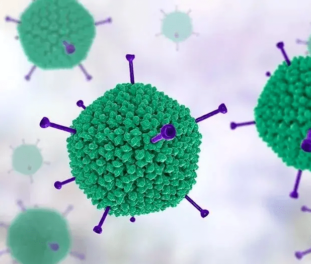 帶你認識腺病毒及其導致的胃腸炎