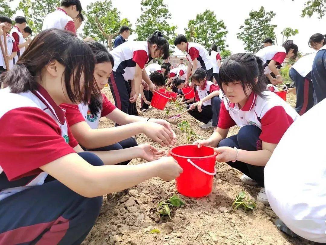 周口市文昌中學勞動課搬到實踐基地上