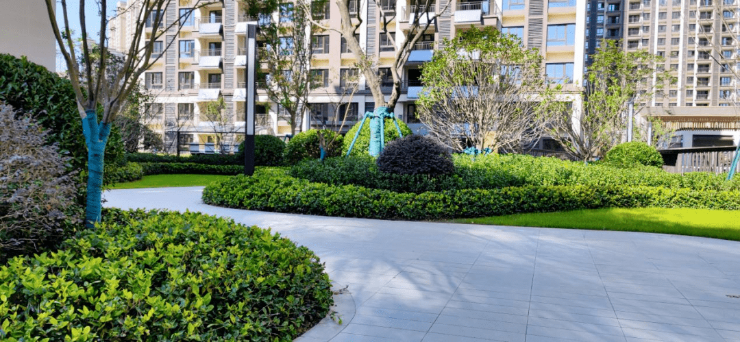 自由曲线重塑生活的权利阜阳金科集美阳光