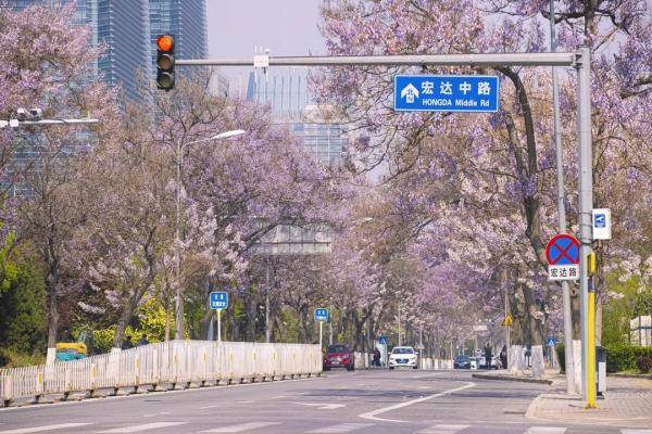 交警提醒 | 马路不是打卡地，请文明赏景，安全拍照！