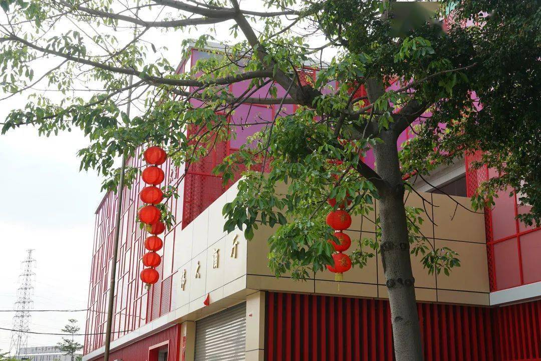 美丽恬静的大富村邀您来瞧瞧_谭仙观_张槎街道_文化