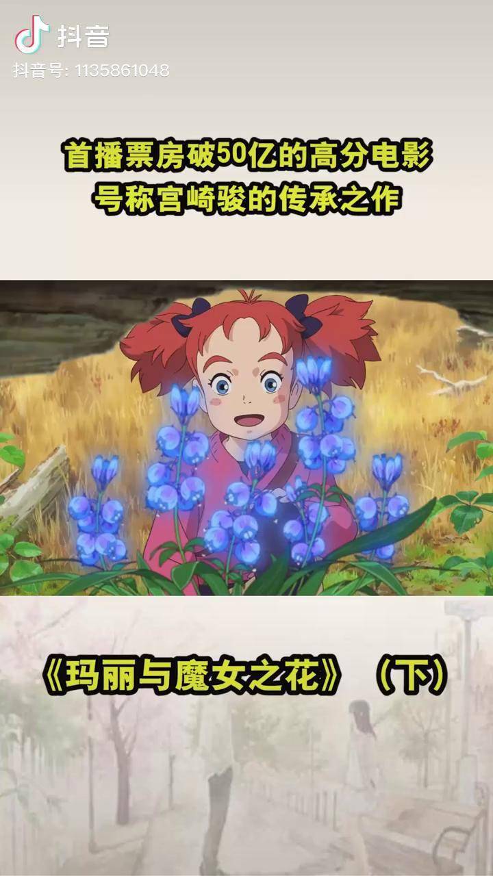 首播票房破50亿的高分电影号称宫崎骏的传承之作玛丽与魔女之花