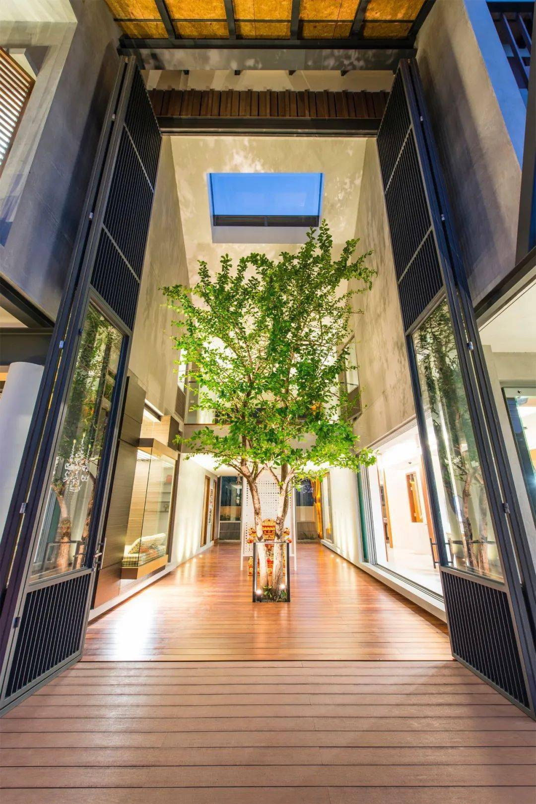 家的样子 ▎有大树的家才是豪宅