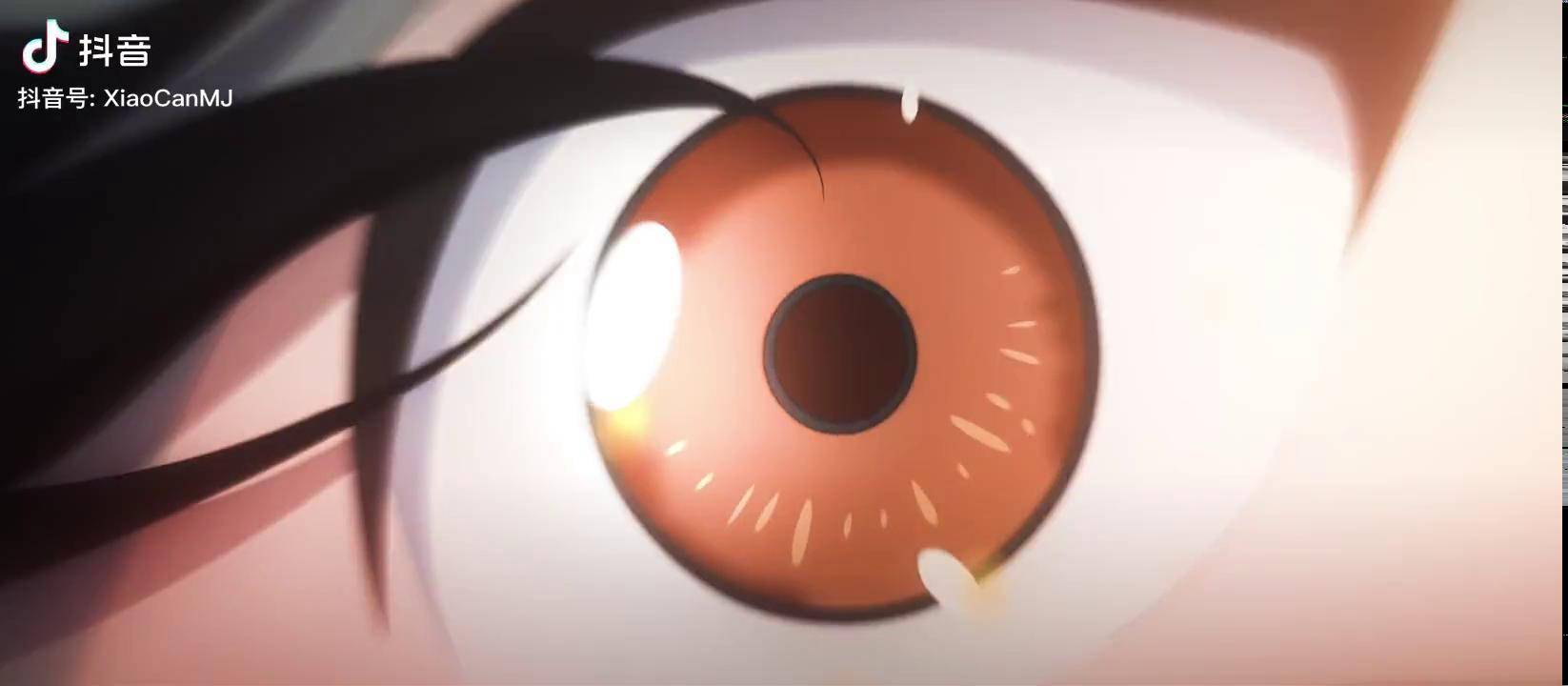 剩下的文案你们来说 天官赐福动画 troubleimin_文案_动画_意义