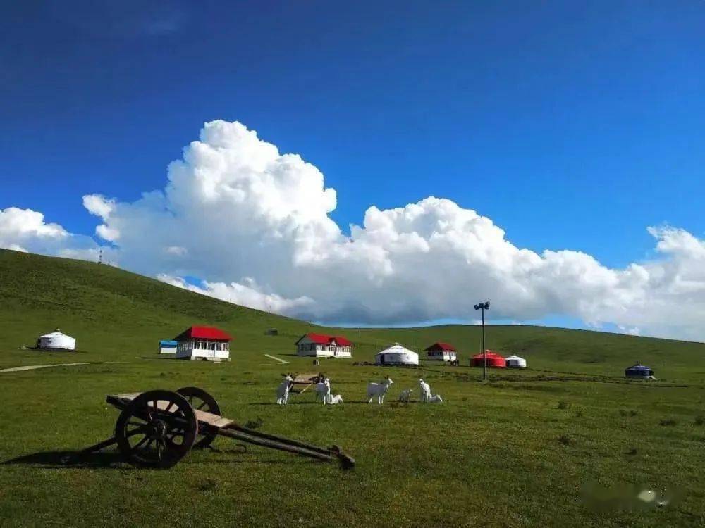 溼地草原梨園二郎山岷縣治癒系風景來咯