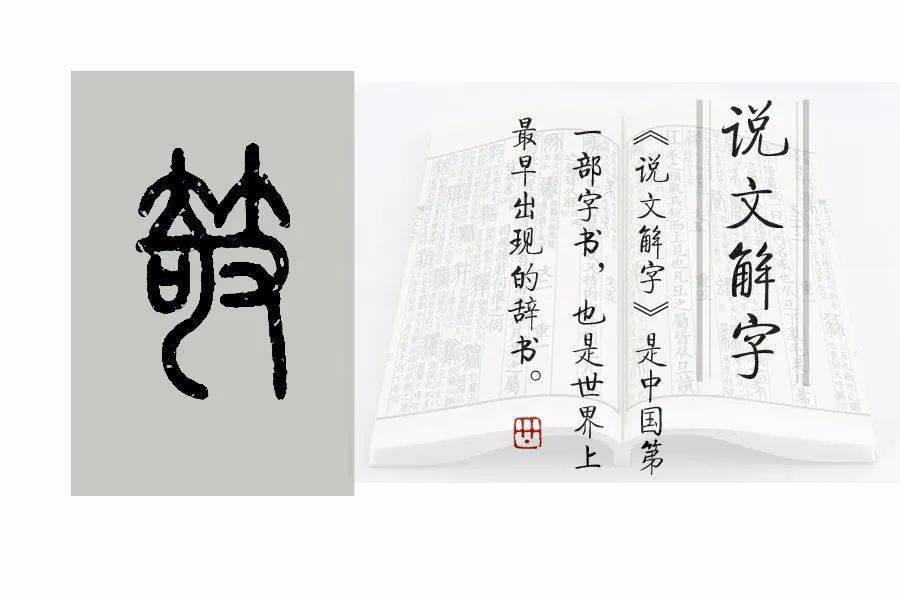说文解字》第560课：细说“支”字_国家语委_支韵_汉字