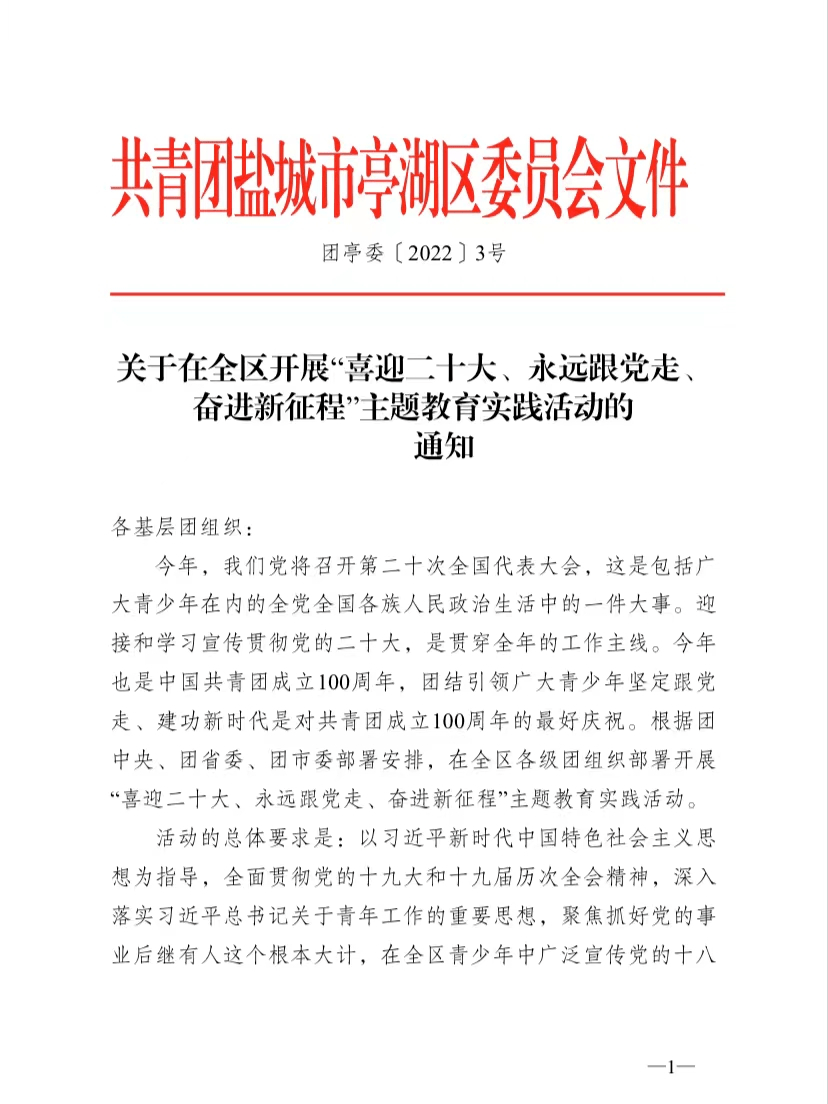 主題活動小夥伴們今年是黨的二十大的召開之年,也是中國共青團成立100