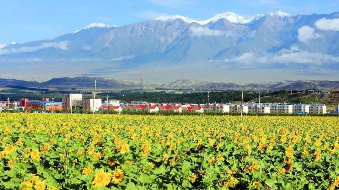 这里是双河来第五师双河市体验乡村旅游高颜值