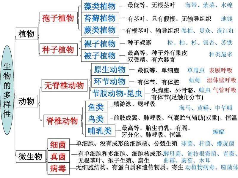 12張知識結構圖幫你掃清初中生物知識點