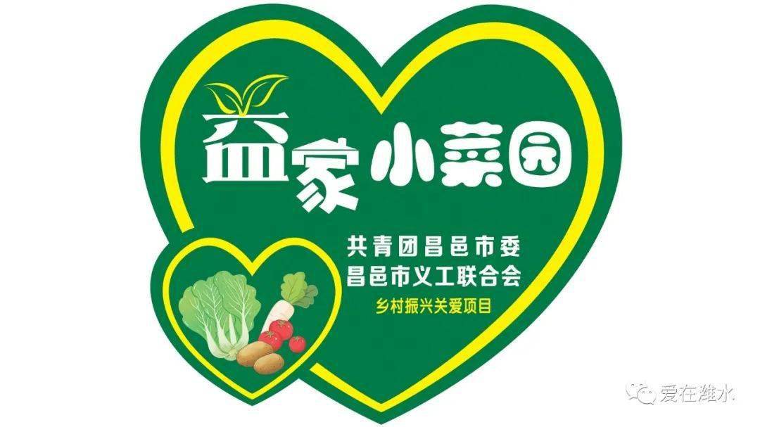 金晖助老益家小菜园同学们给围子街道戚爷爷建成小菜园