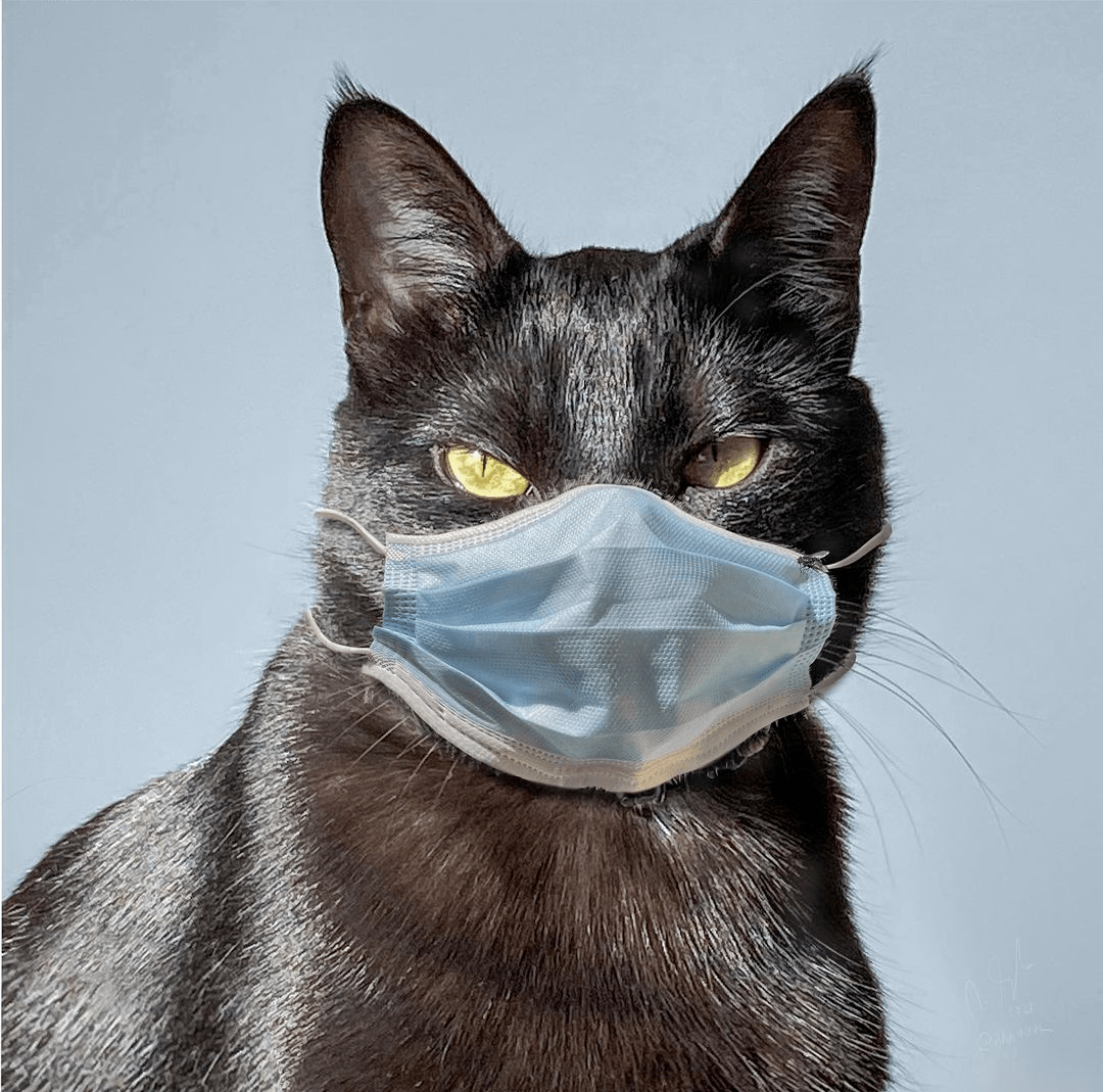 西班牙创意艺术,以口罩为题材创作出系列图像,作品诉诸了疫情对当下