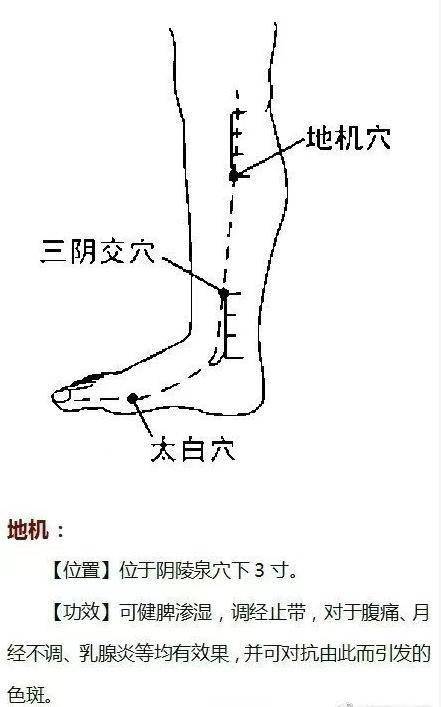 四,三陰交的位置及功效如圖五,足三里的位置及功效如圖六,脾俞的位置