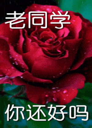 聊天图片_侵权_综合_版权