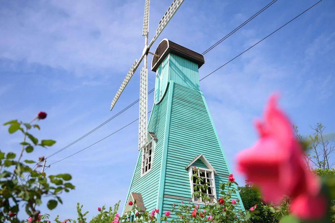 假期余额不足,快来麦可兔小镇充值吧~_金湖_龙虾_草莓