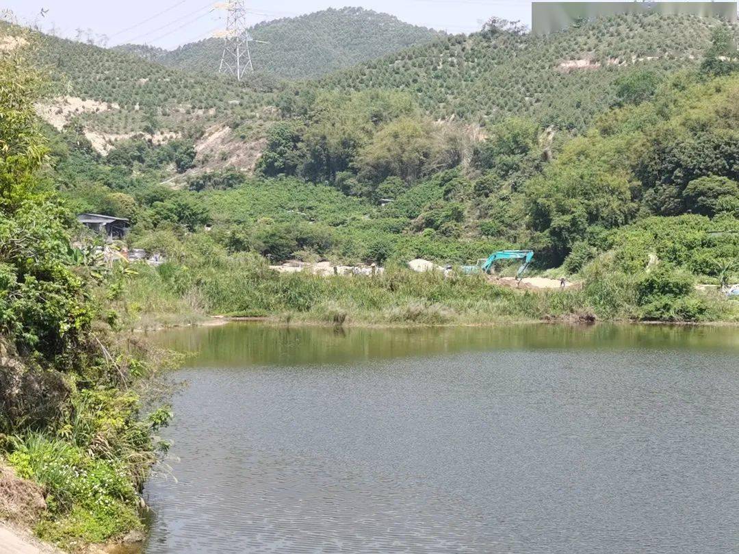 拆荔城街棠厦村