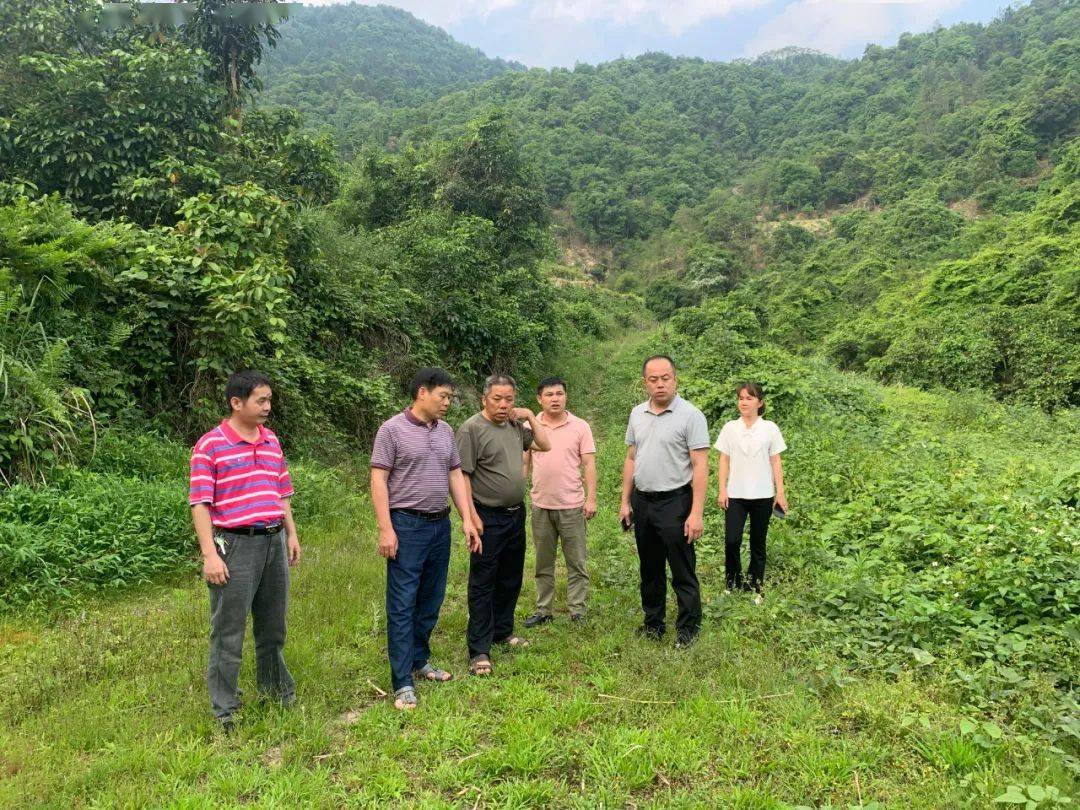 漳州平和山格首富图片