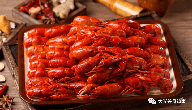 藏龙岛丨波锅卤虾洪湖清水虾日销20000斤128元抢门市价350元小龙虾