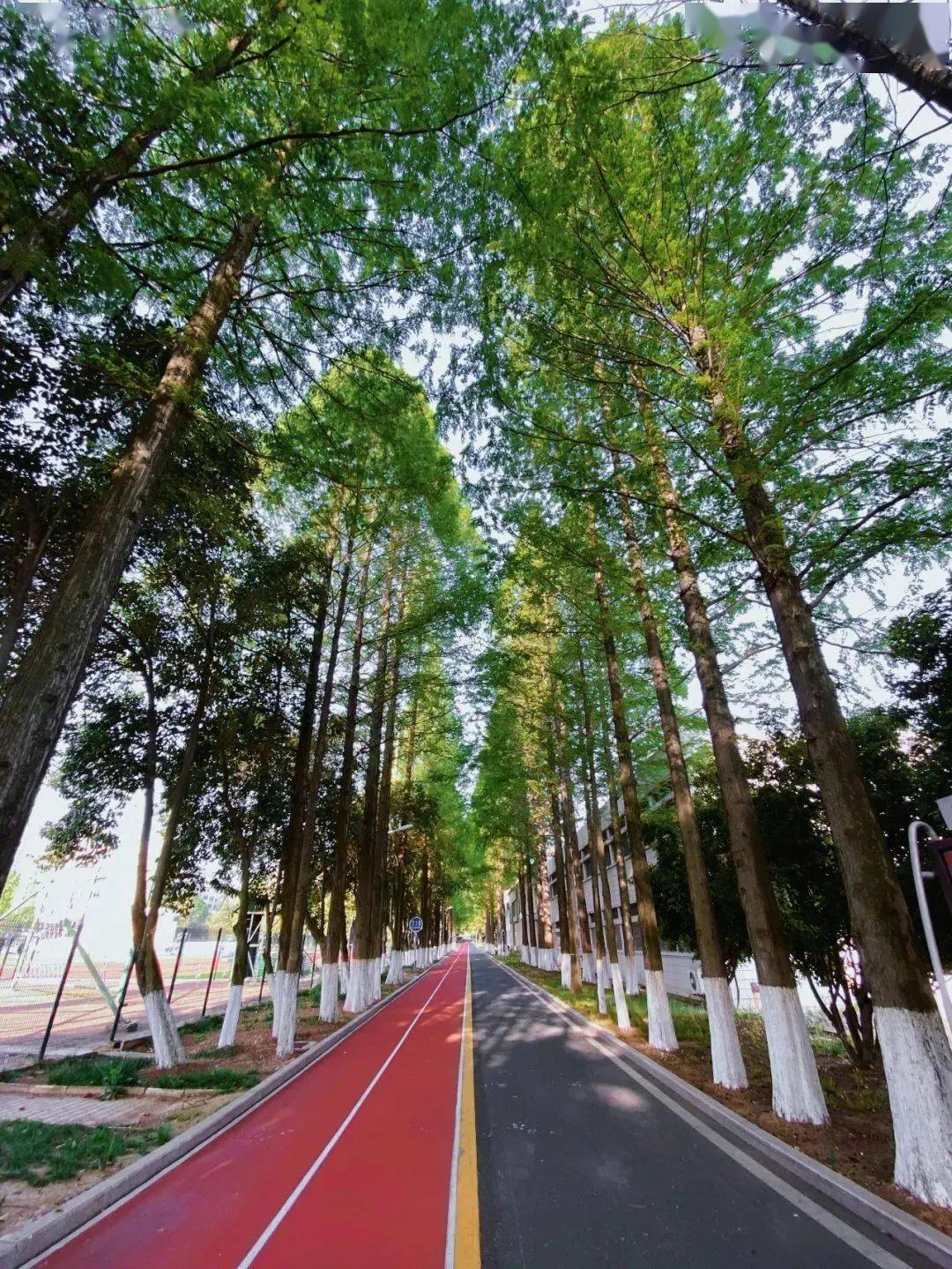 高校招聘面向社会公开引才国防科技大学电子对抗学院2022年度人才引进