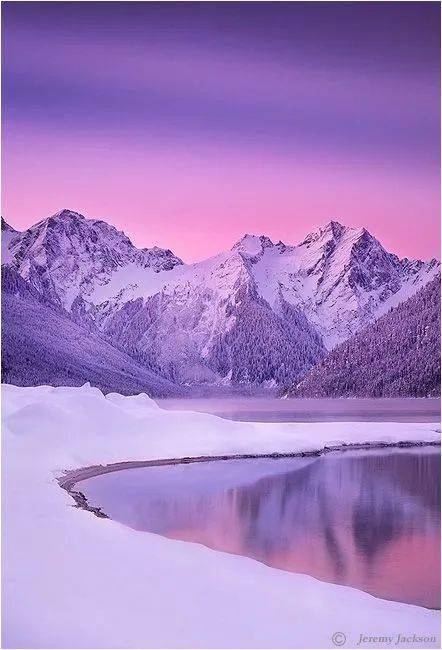 是鸢尾是紫霞是怦然心动的五月啊