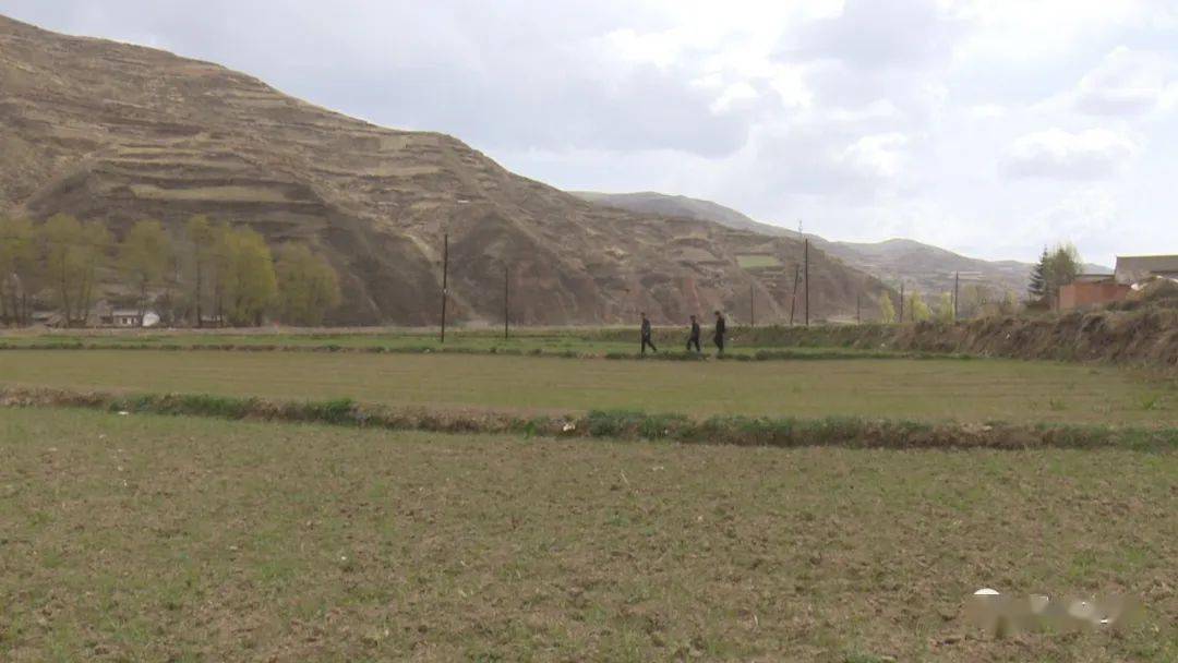 岷县蒲麻镇产业振兴激发乡村发展活力