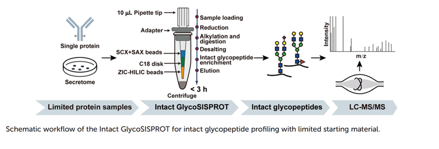 图丨 intact glycosisprot 工作流程示意图(来源: analyst )该技术