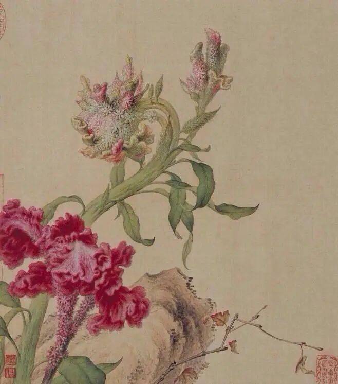 郎世宁花鸟工笔画,技法纯熟,雅致极了_绘画_中国_宫廷十