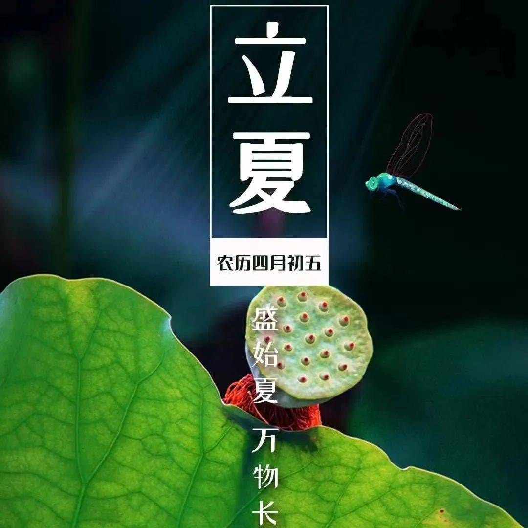 节气 | 立夏:万物始茂 迎夏而立_蚯蚓_版权_夏天