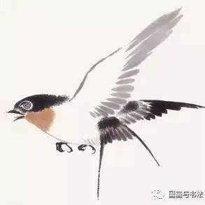 【花鸟画教学】怎样画禽鸟_画法_示例_猛禽