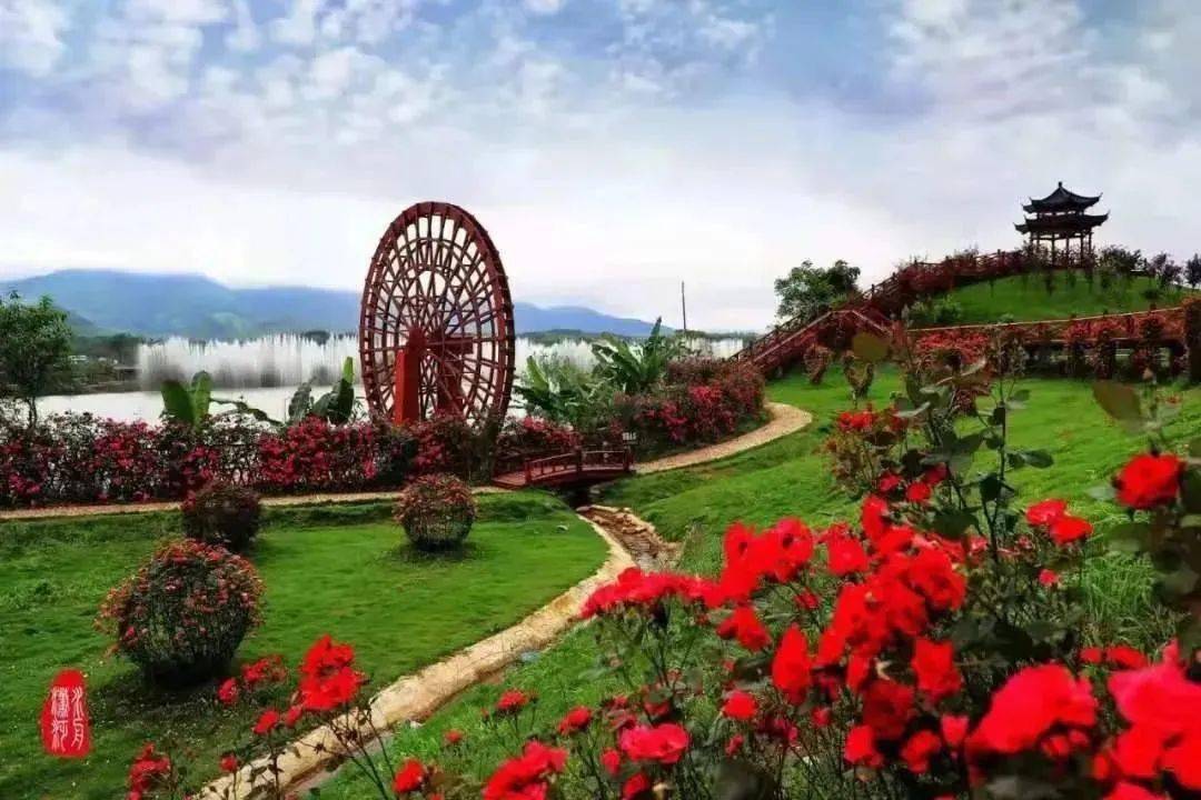 以阳明山为龙头,桐子坳古银杏村,花千谷,云台山等景区串链成群,2021年