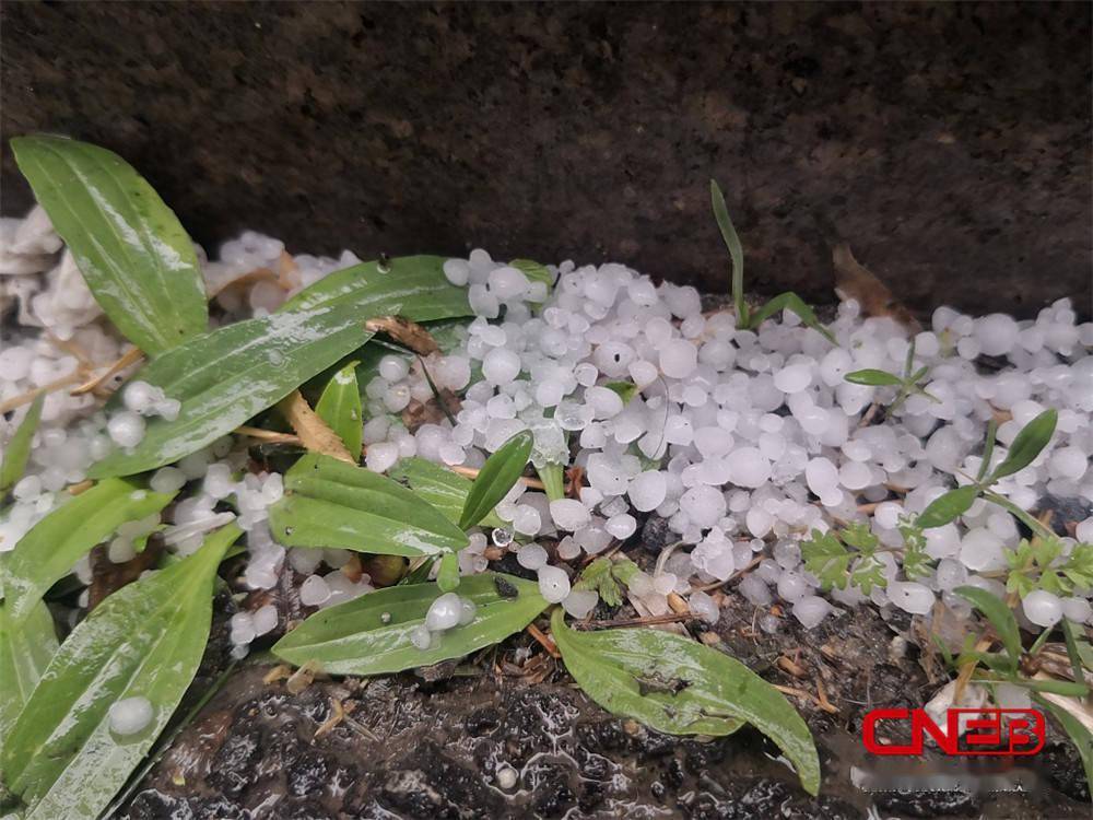 黑龙江哈尔滨迎来冰雹降温大风天气