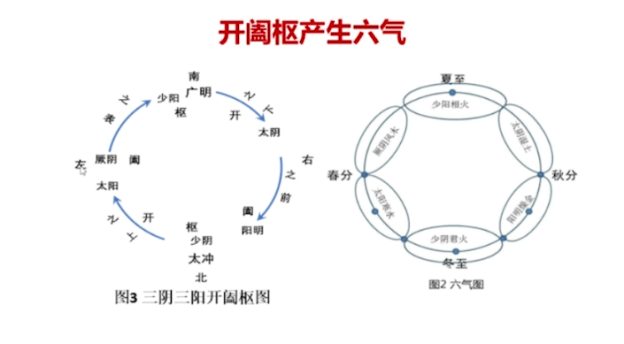 顾植山教授指出,开阖枢三阴三阳和洛书后天八卦是神农炎帝时代的文化