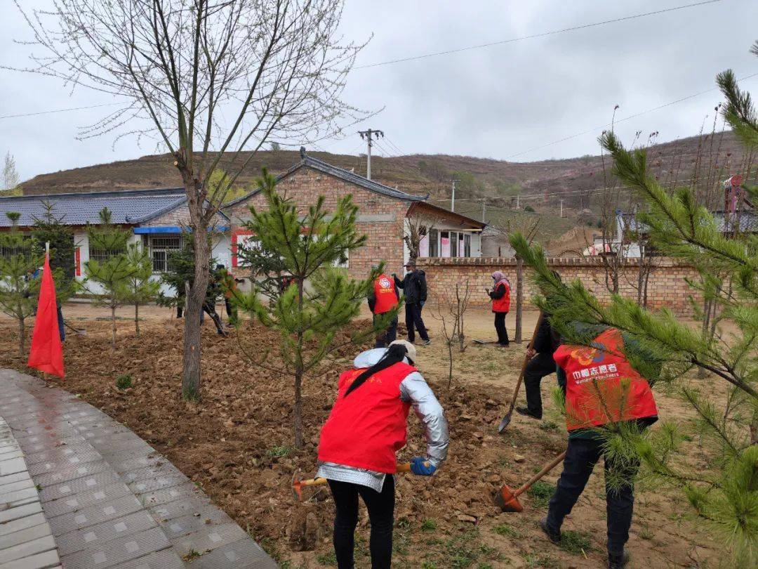 兰花芬芳巾帼志愿西吉县震湖乡志愿红播撒乡村绿