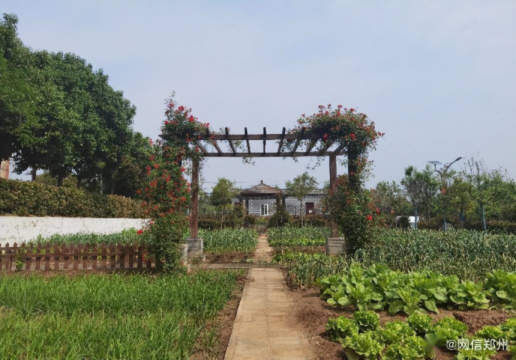 郑州读懂最早中国】南屯老式烧饼 这一味儿他守护了40年