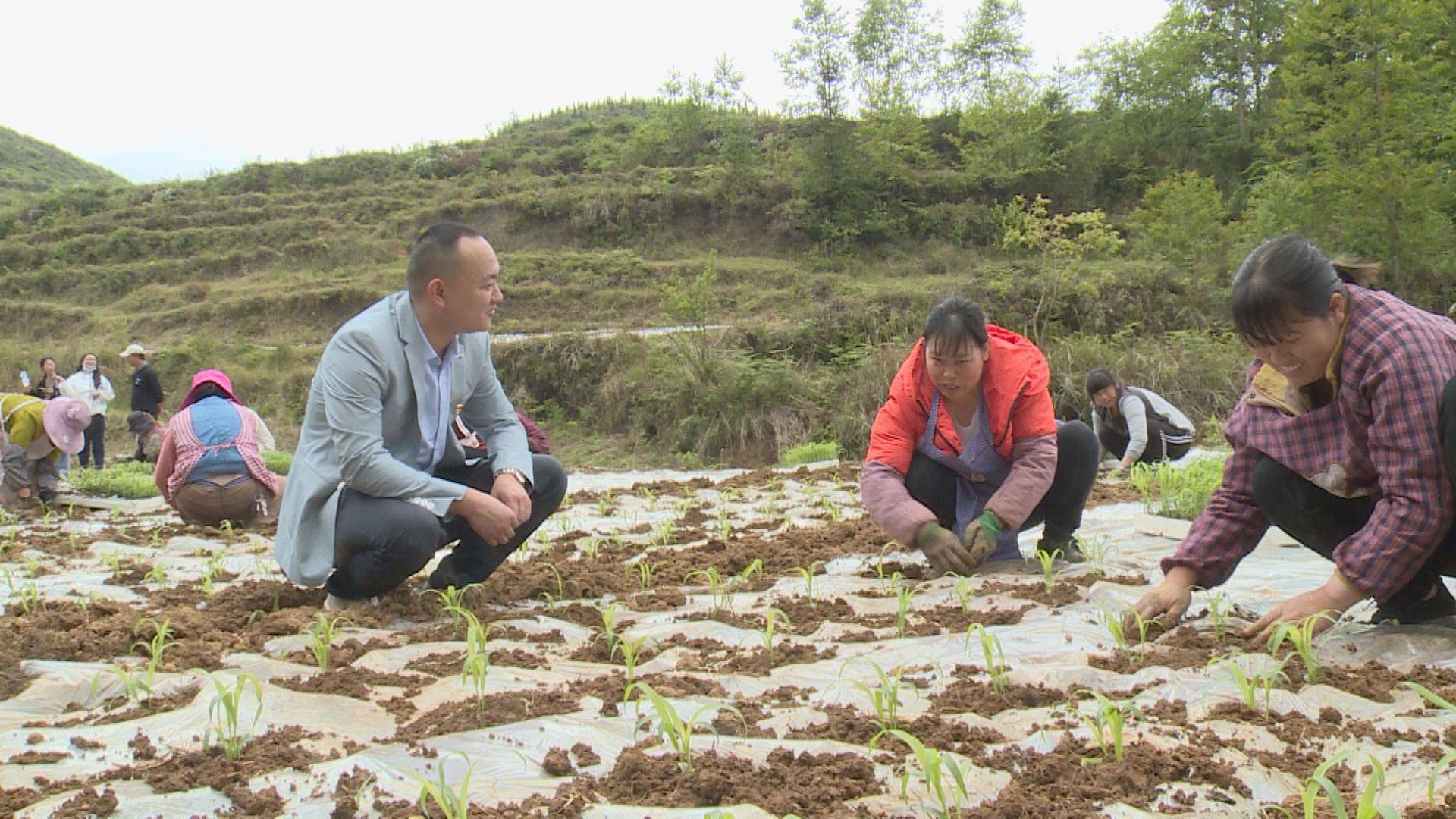 村企聯建同頻共振丨六枝特區郎岱鎮立足基礎破人才吸引難