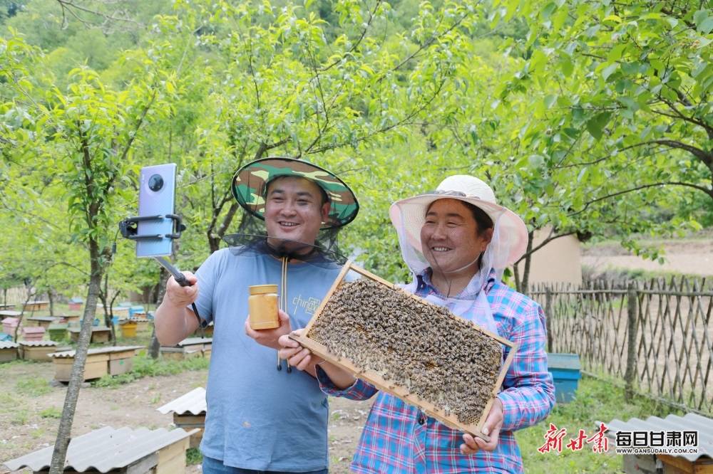 蜜蜂养殖电视频道直播视频 蜜蜂养殖电视频道直播视频下载