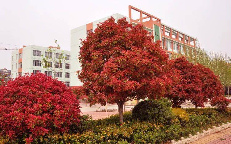 公立学校风采浚县第一中学