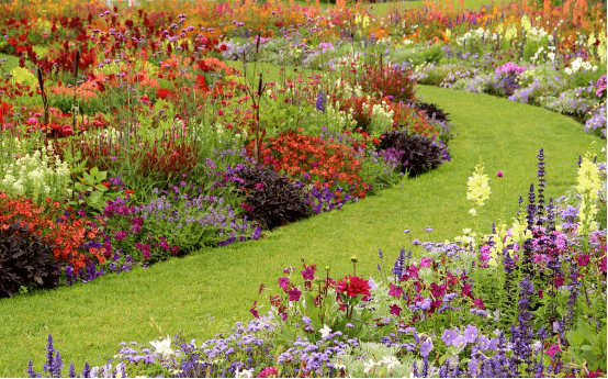 单面观赏花境双面观赏花境对应式花境
