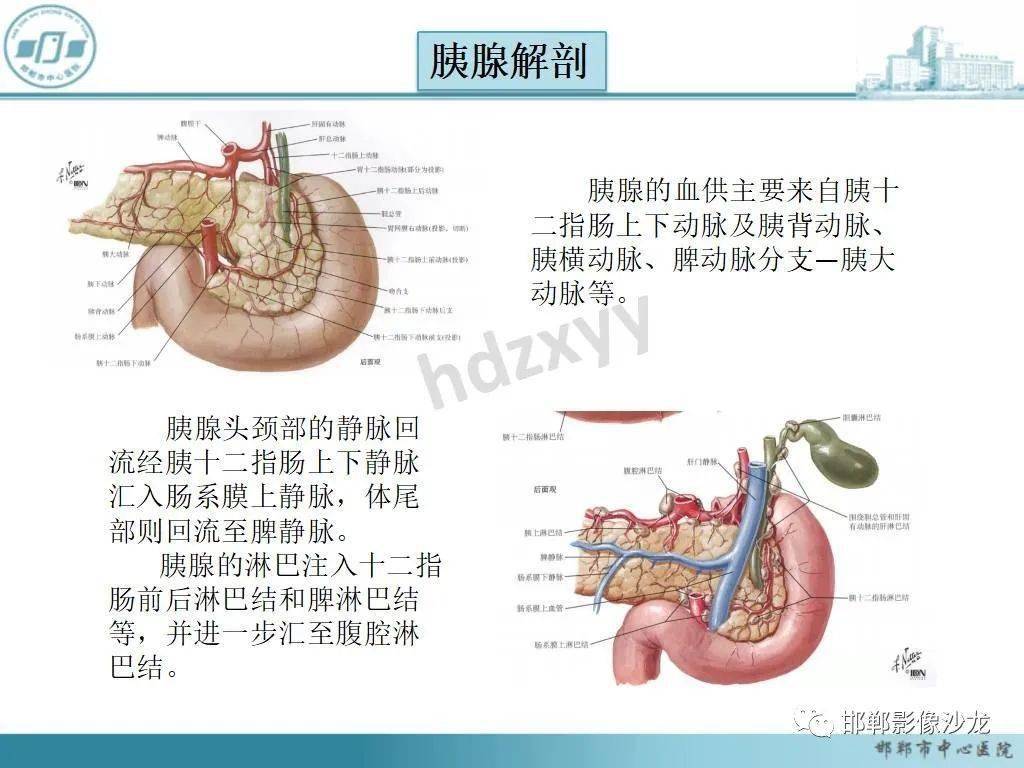 自身免疫性胰腺炎