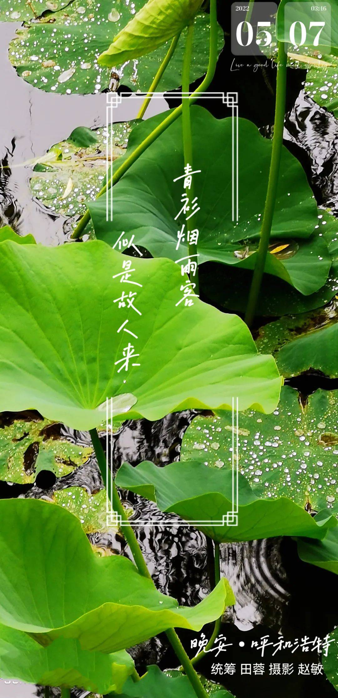 晚安海报青衫烟雨客似是故人来